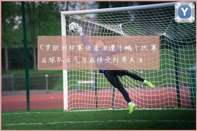 C罗欧洲杯赛场落泪遭飞蛾干扰 赛后球队士气与成绩受外界关注