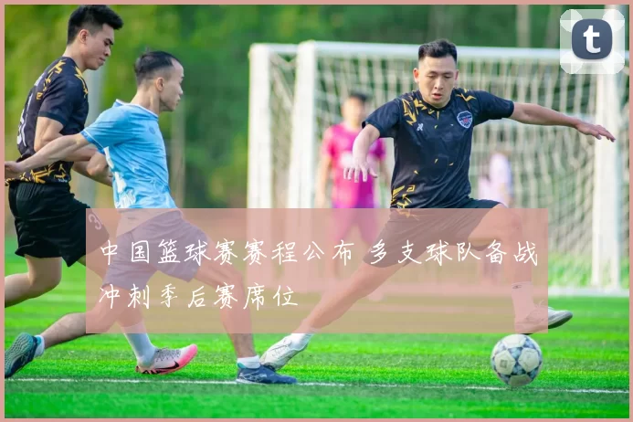 中国篮球赛赛程公布 多支球队备战冲刺季后赛席位