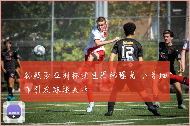 孙颖莎亚洲杯拼豆图纸曝光 小号细节引发球迷关注